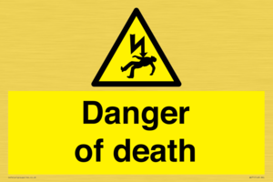 Danger of death